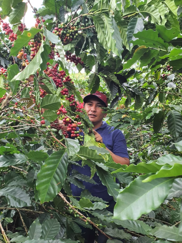 Colombia Finca Monteblanco Pink Bourbon