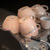 Loveramics Egg - Cafe Latte 300 ml Cup and Saucer - Rose