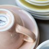 Loveramics Egg - Cafe Latte 300 ml Cup and Saucer - Rose