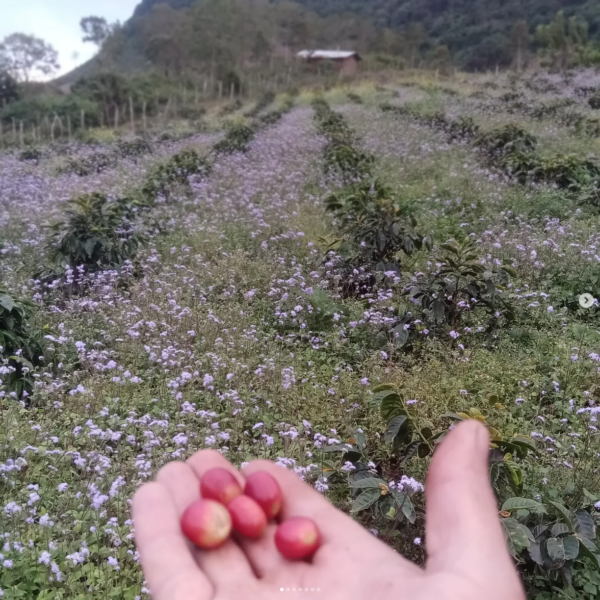 Honduras Ariel Funez La Lagunita Natural