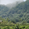 Honduras Ariel Funez La Lagunita Natural