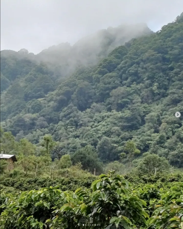 Honduras Ariel Funez La Lagunita Natural