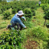 Honduras Ariel Funez La Lagunita Natural