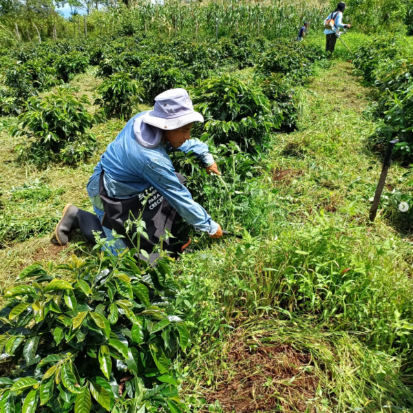 Honduras Ariel Funez La Lagunita Natural